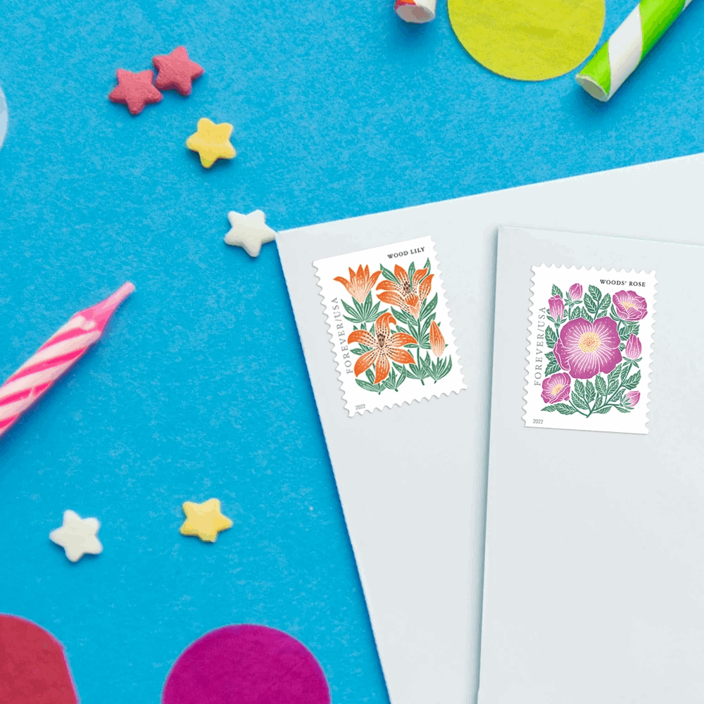 Mountain Flora 2022 - 5 Booklets 100 Pcs - Forever