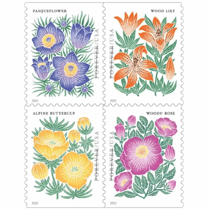 Mountain Flora 2022 - 5 Booklets 100 Pcs - Forever