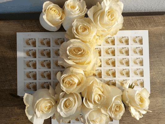 Wedding Roses Commemorative Forever Stamps 2011 100pcs - Forever