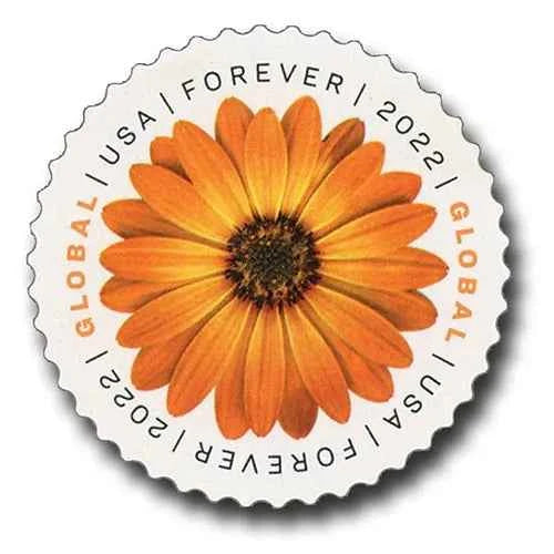 Global African Daisy Stamps International 2022 (50pcs) - Forever