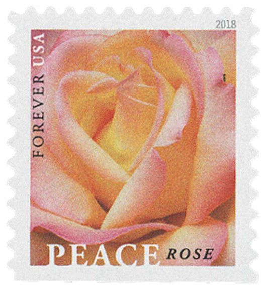 2018 First-Class Forever Stamp - Peace Rose - Forever