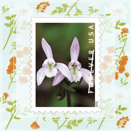 Postage Stamps Wild Orchids 100pcs - Forever