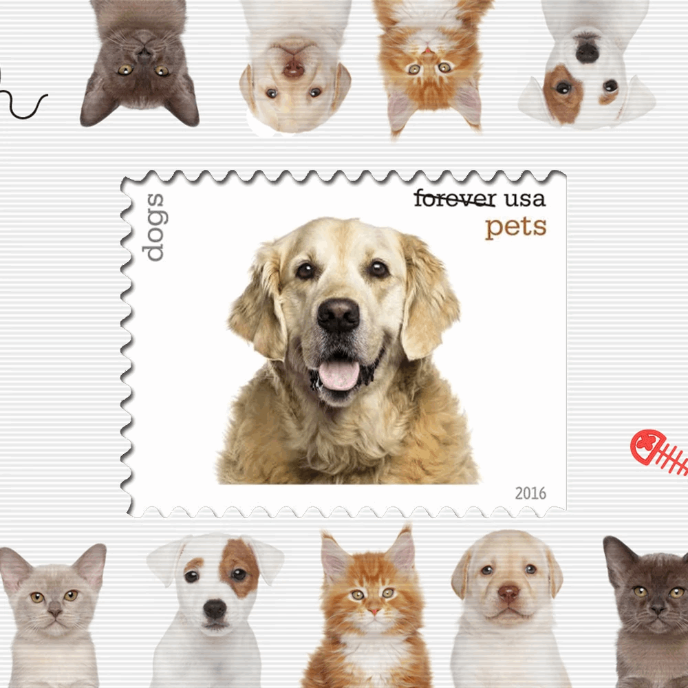 Pets Celebrate Animals Forever Stamps 2016 -100Pcs - Forever