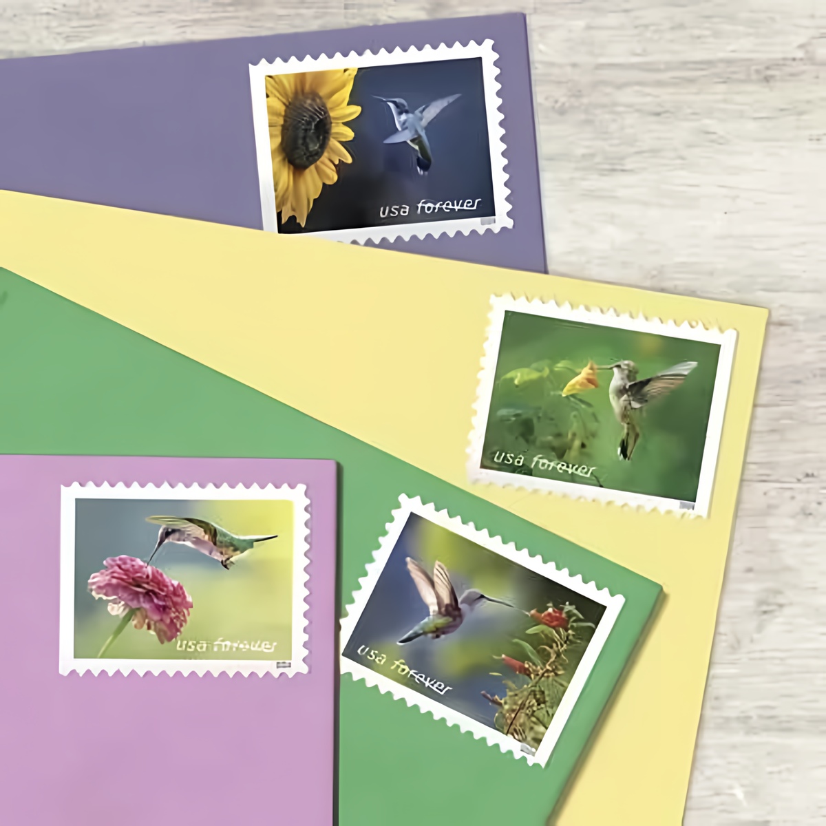 Four 2024 Garden Delights stamps on colored cards