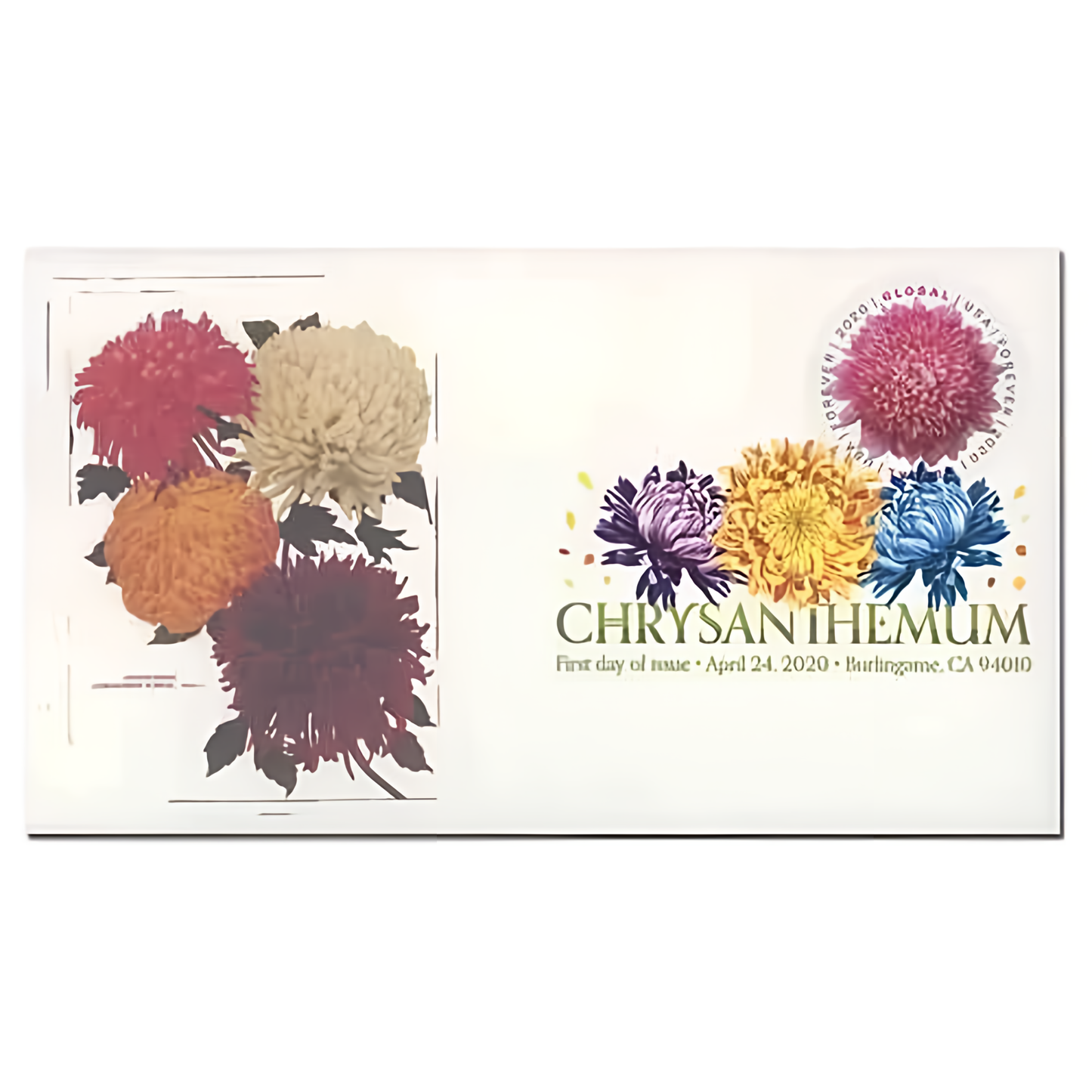 2020 Global Chrysanthemum stamp on a first-day-of-issue envelope