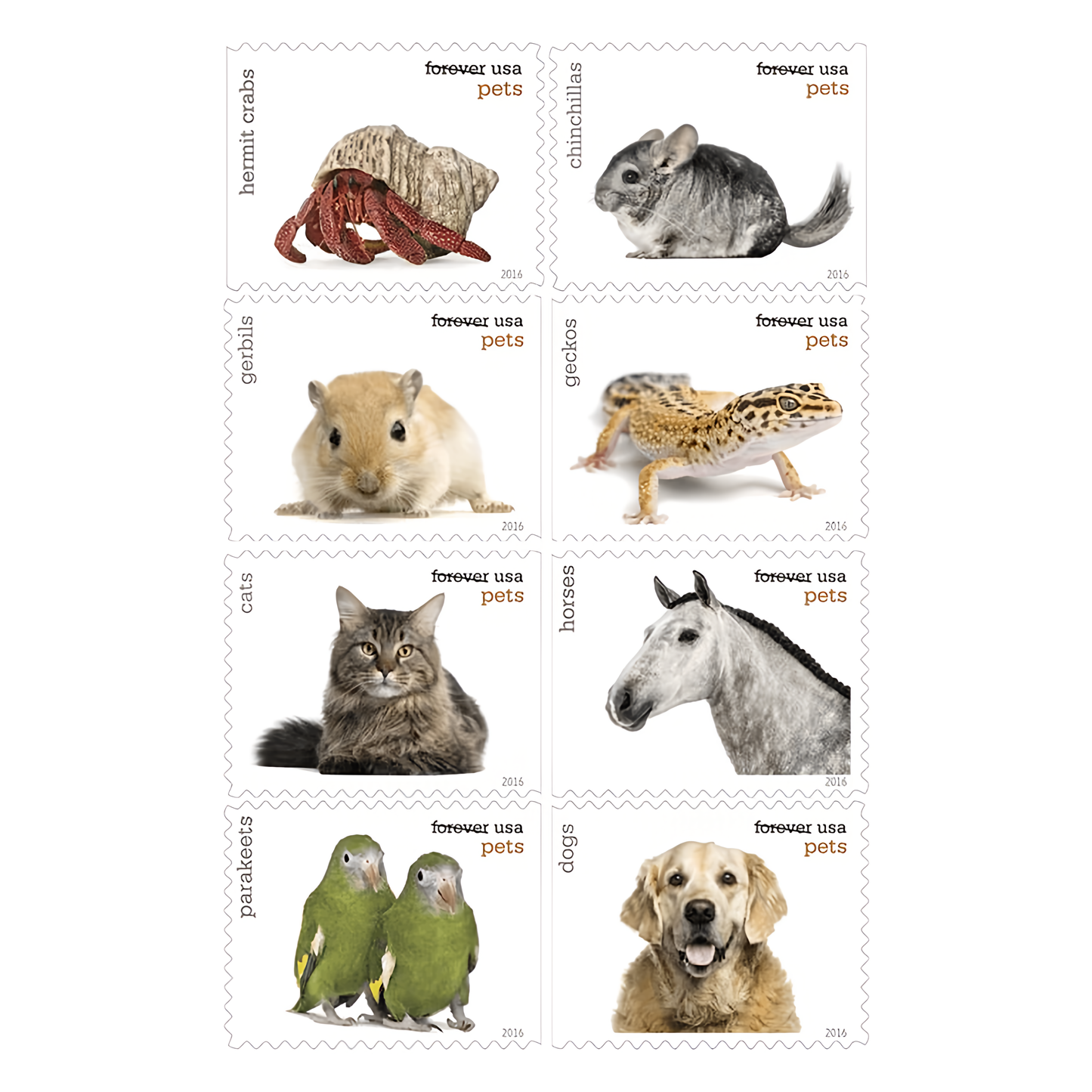 Eight 2016 Pets stamp designs