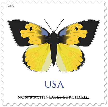 2019 California Dogface butterfly stamp close-up
