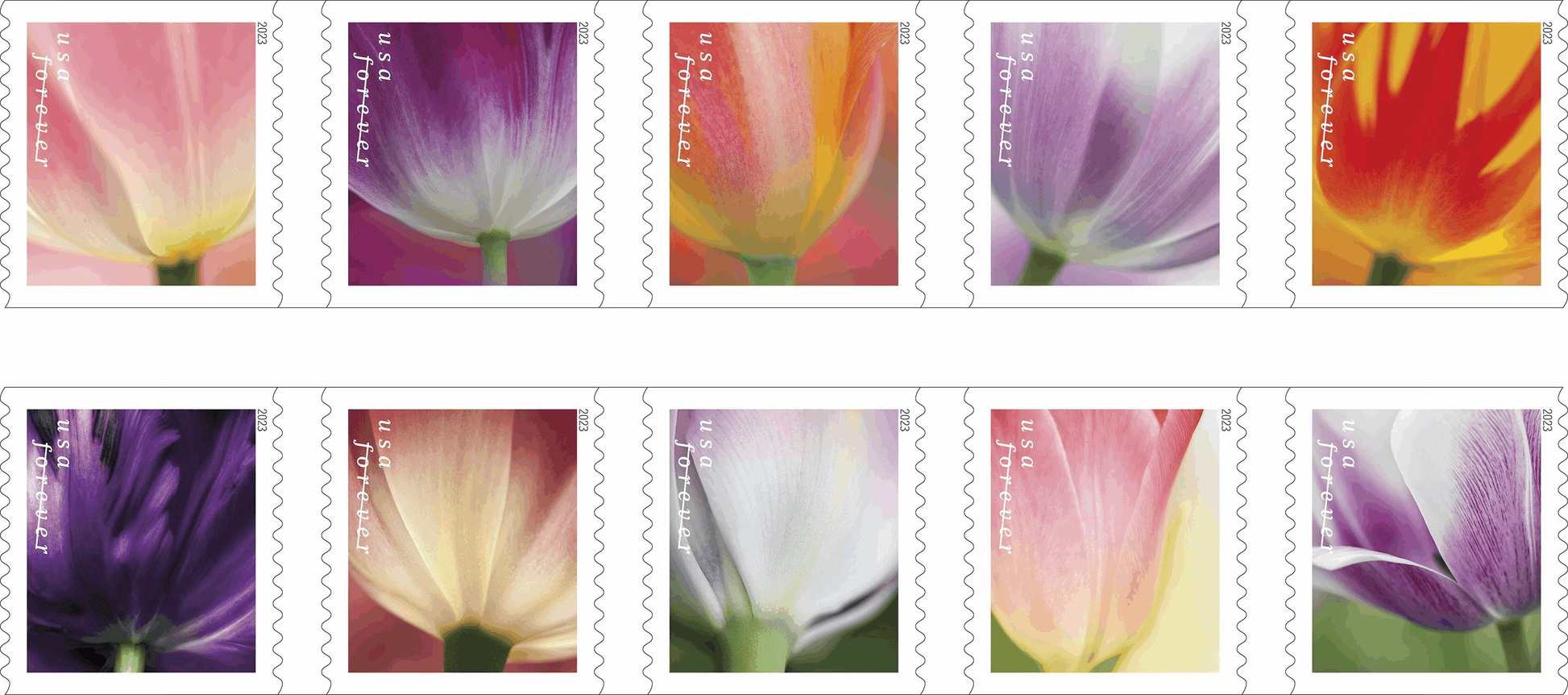 Tulips Blossom on New Forever Stamps - Forever