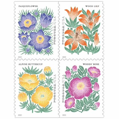 Mountain Flora 2022 - 5 Booklets 100 Pcs - Forever