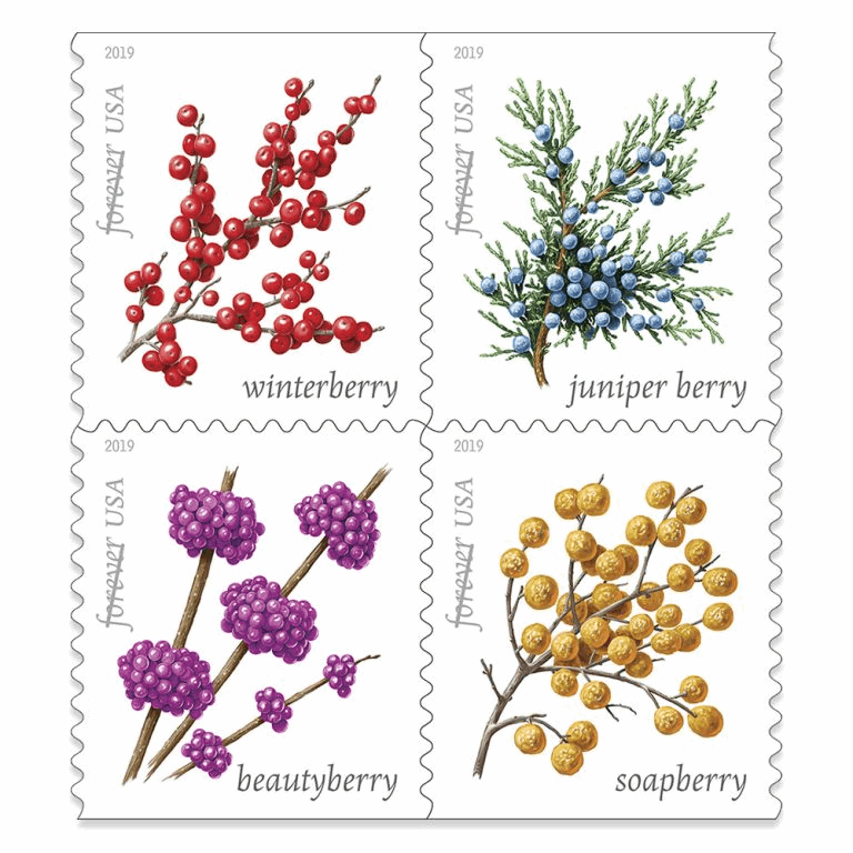 Winter Berries (5 Sheets of 20) 100pcs - Forever