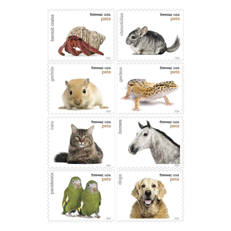 Pets Celebrate Animals Forever Stamps 2016 -100Pcs