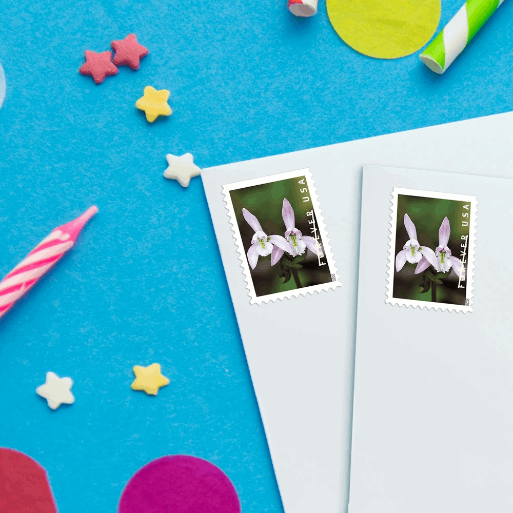 Postage Stamps Wild Orchids 100pcs - Forever