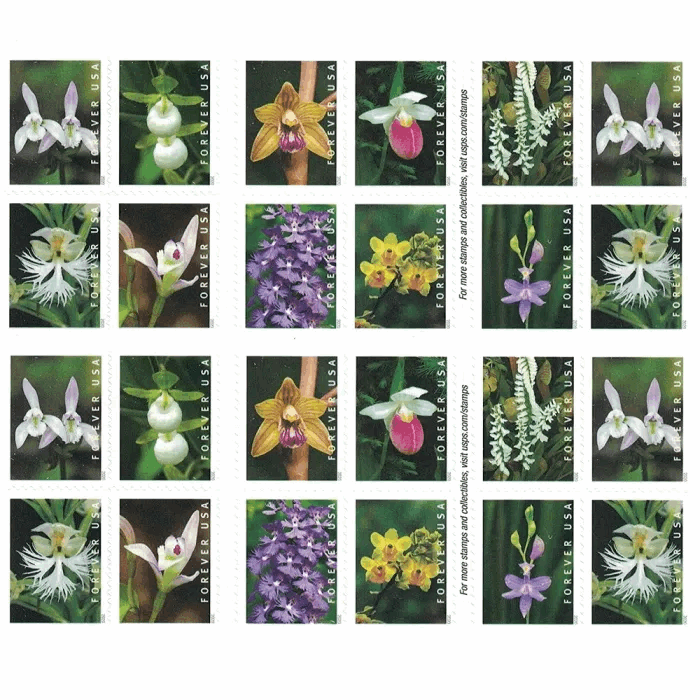 Postage Stamps Wild Orchids 100pcs - Forever