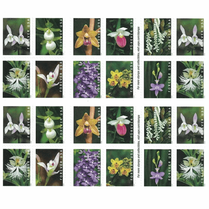 Postage Stamps Wild Orchids 100pcs - Forever