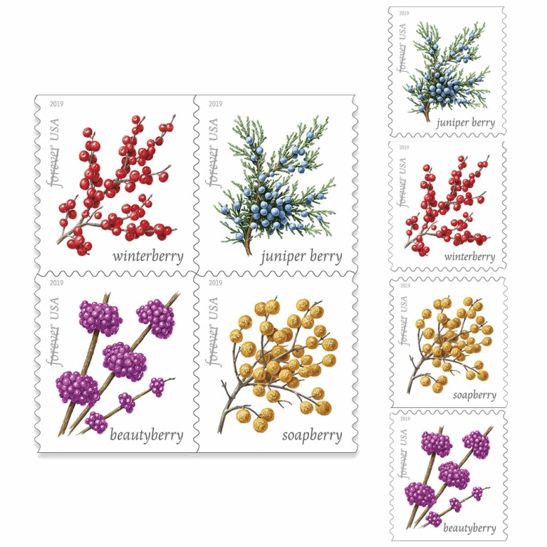 Winter Berries (5 Sheets of 20) 100pcs - Forever