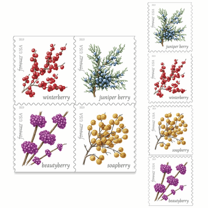 Winter Berries (5 Sheets of 20) 100pcs - Forever