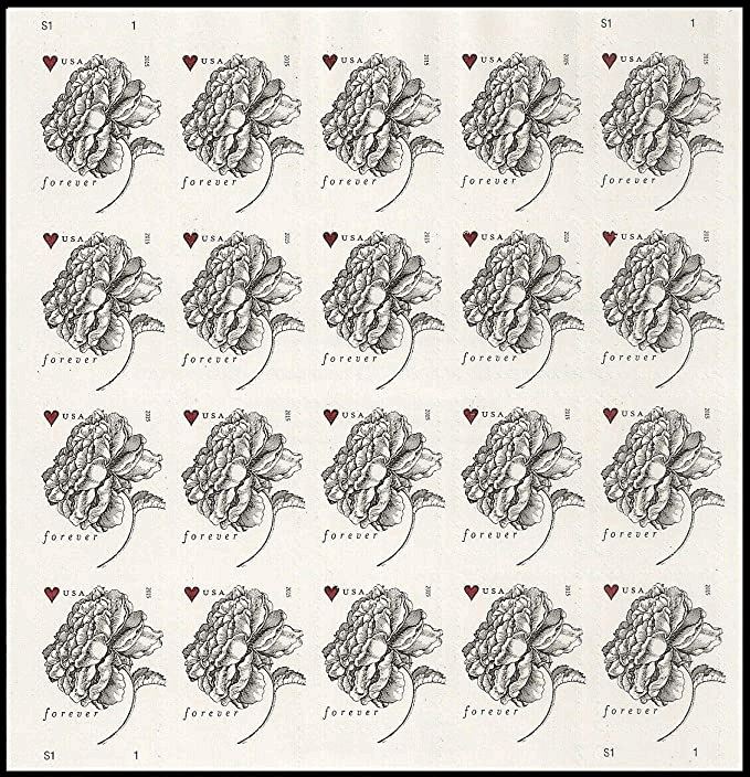 Forever Wedding Scott 4959 Vintage Rose pane 100 PCS - Forever