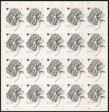 Forever Wedding Scott 4959 Vintage Rose pane 100 PCS - Forever
