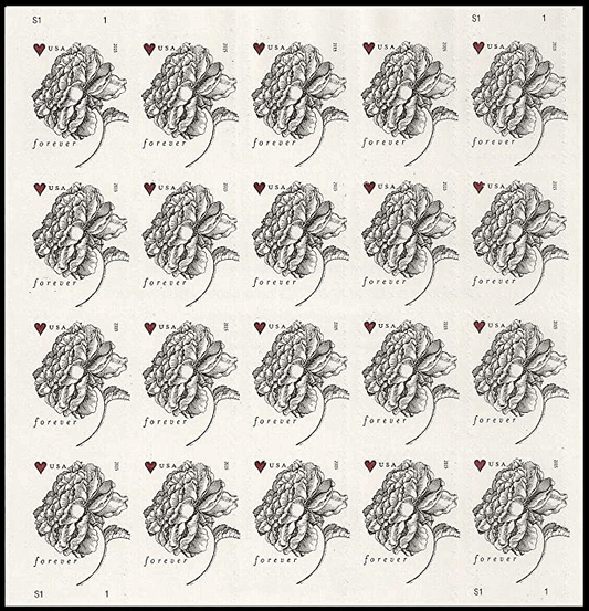 Forever Wedding Scott 4959 Vintage Rose pane 100 PCS - Forever