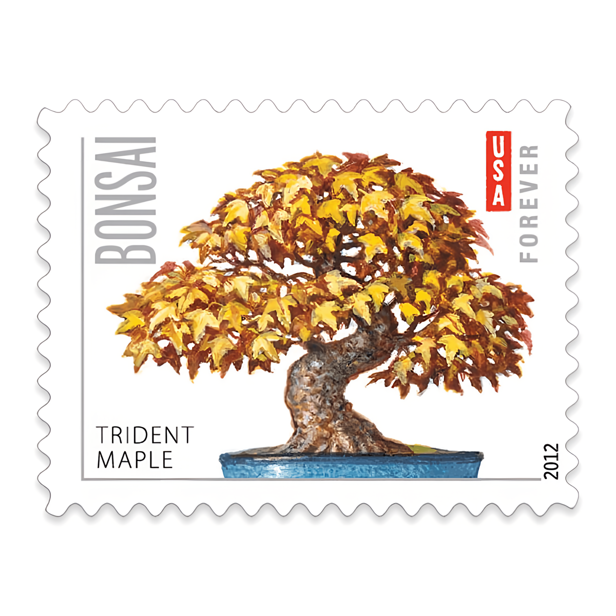 2012 Trident Maple Bonsai stamp close-up