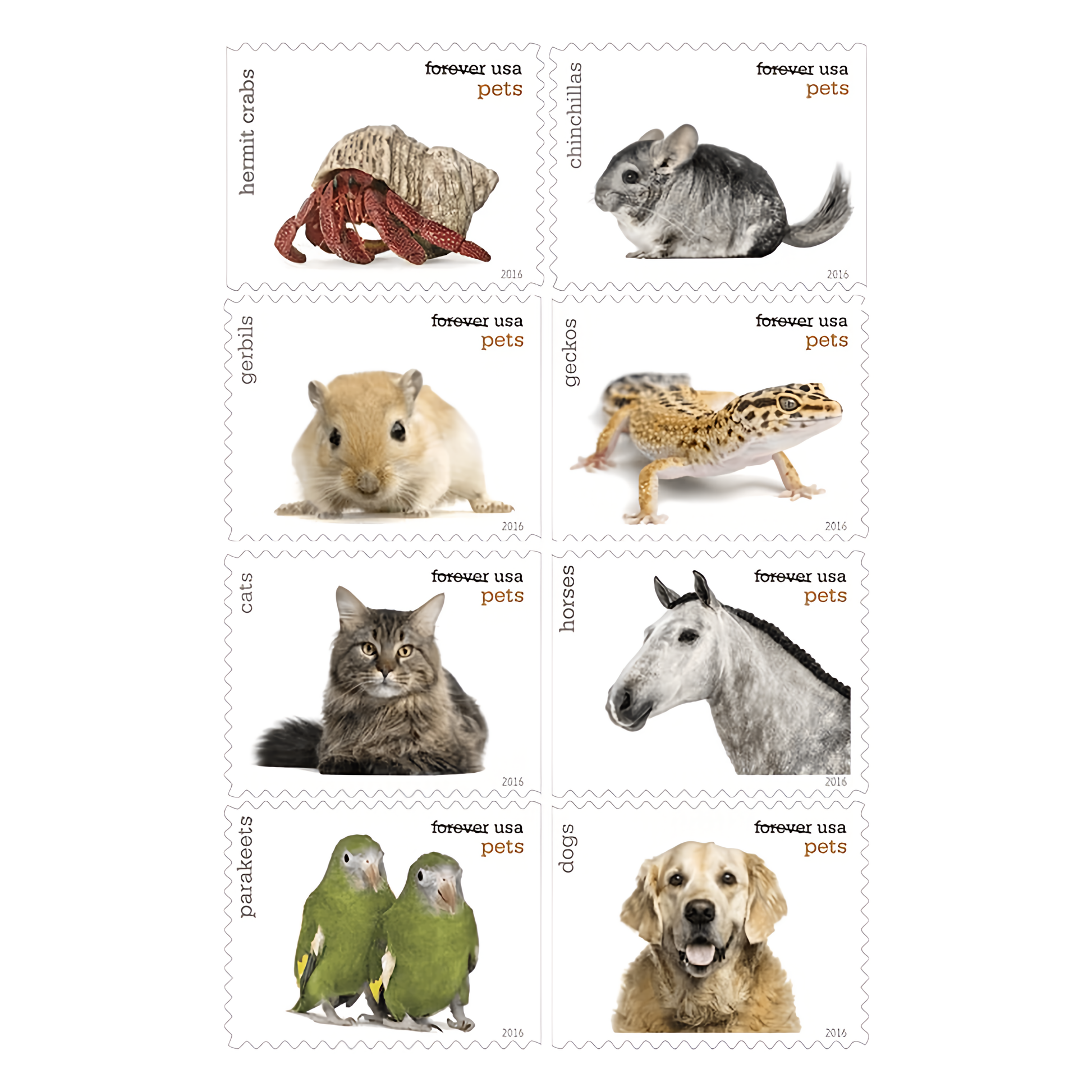 Eight 2016 Pets stamp designs