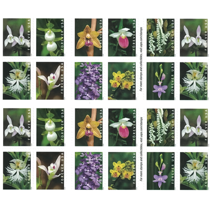Wild Orchids Forever stamp booklet pane