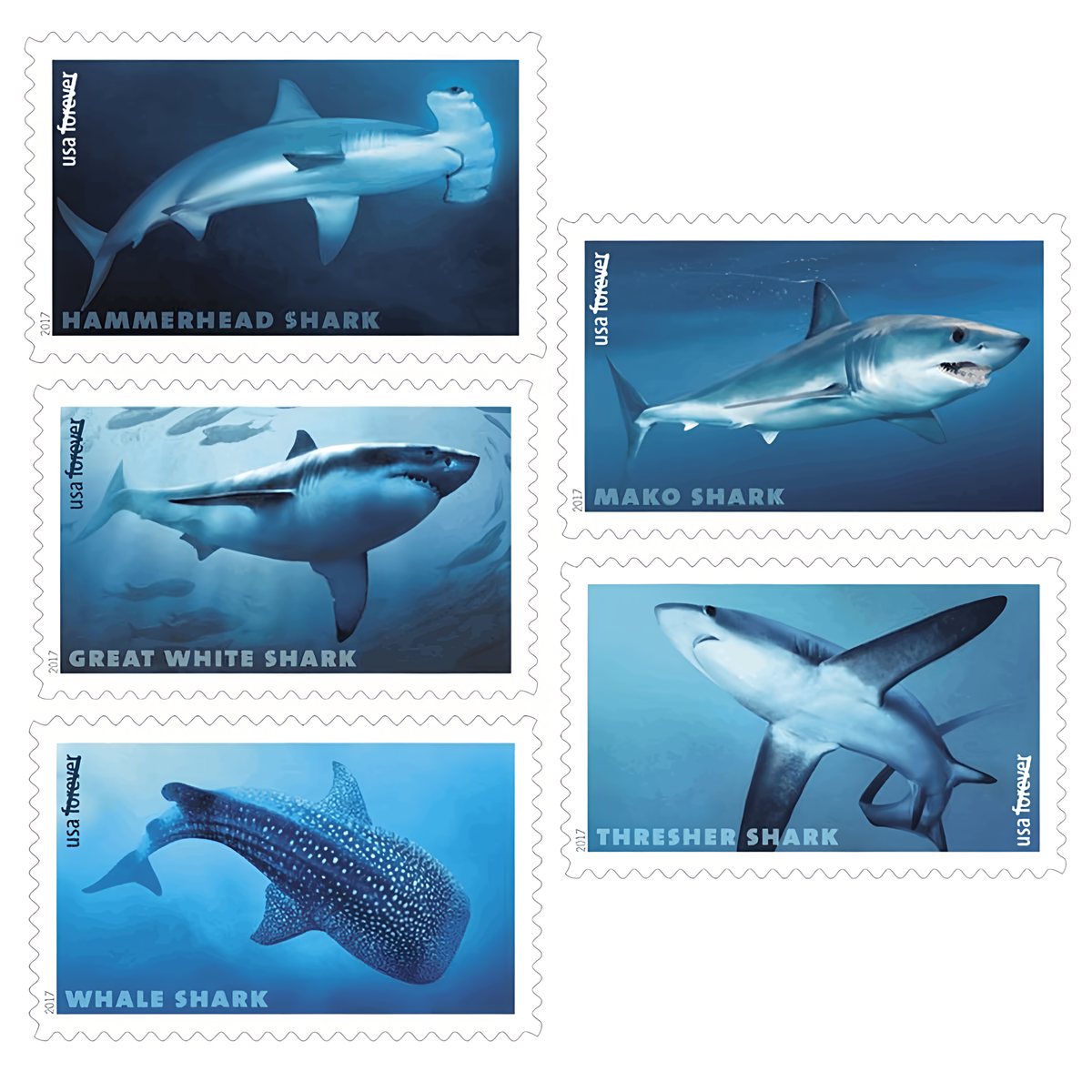 Five Sharks Forever stamp designs
